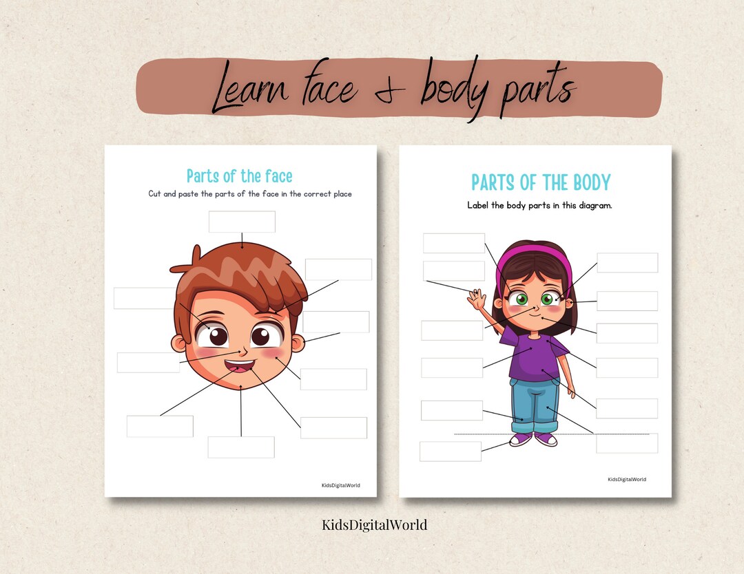 Printable Body Parts Activities for Kids / Bilingual Binder Etsy