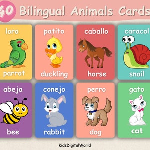 40 Spaanse en Engelse dieren, tweetalige kaarten, thuisonderwijs, educatief voor de kleuterschool, afdrukbaar, leuk en kleurrijk, nomenclatuurkaarten