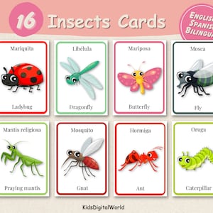 INSETTI 16 Carte Montessori / Carte bilingui / FlashCard nomenclatura / Carte stampabili Pdf prescolare / carte prescolastiche, DOWNLOAD DIGITALE