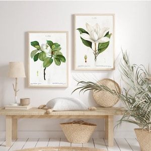 Vintage Set of Two Botanical Magnolia Flowers Art Plant Study poster print