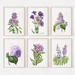 Vintage Lavender Botanical Prints: Set of Six Purple Flower Art