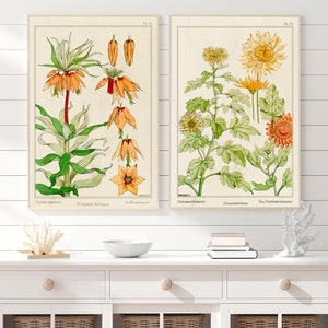 Art Nouveau Botanical Plant Printed Wall Art Decor Home Vintage Poster Set of Two