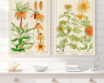 Art Nouveau Botanical Plant Printed Wall Art Decor Home Vintage Poster Set of Two