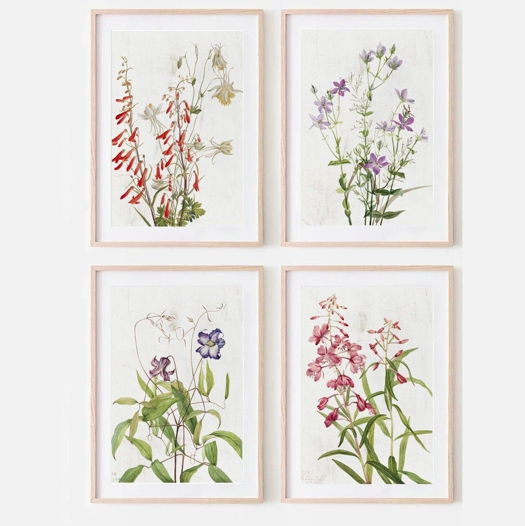 Vintage Wildflower Botanical Prints: Farmhouse Wall Art, Set of 4 - Etsy