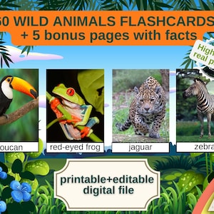 60 DZIKIE ZWIERZĘTA FLASHCARDS, Montessori, Flashcards, edukacyjne, zwierzęta, cyfrowe, edytowalne, pdf, karty do druku, dzikie zwierzęta