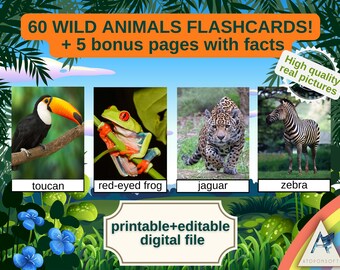 60 WILD ANIMALS FLASHCARDS, Montessori, Flashcards, educational, animals, digital, editable, pdf, printable cards, wild animals