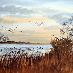 Canvasback Entenjagd Aquarell Kunstdruck: Mississippi Flyway