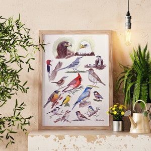 Birds Galore Watercolour Art Print USA Wildlife Watercolor Paintings New Home Gift