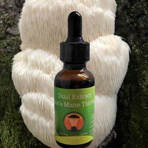Lion&#39;s Mane Dual Extract Tincture