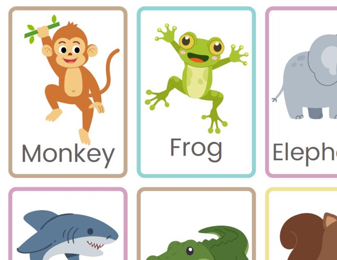 Animal Flashcards - Teaching Resource - Etsy