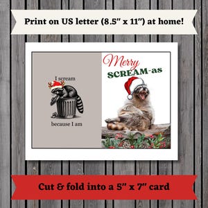 Tarjeta de Navidad imprimible, tarjeta de invierno, tarjeta de deseos navideños, tarjeta de Navidad con mapache, tarjeta navideña con mapache, imprimible, digital, descarga
