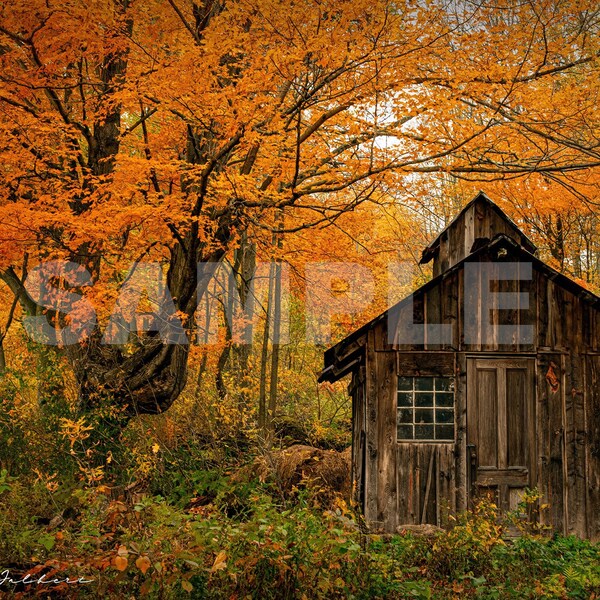 Sugar Shack Print Etsy
