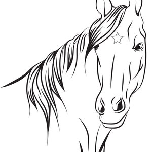 Horse and Star Coloring Page