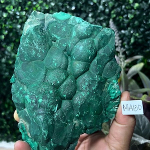 May include: A large, raw malachite stone with a deep green color and a textured, bubbly surface. The stone is held in a hand, with a white tag that reads "MA130". The background is a blurred view of green foliage.