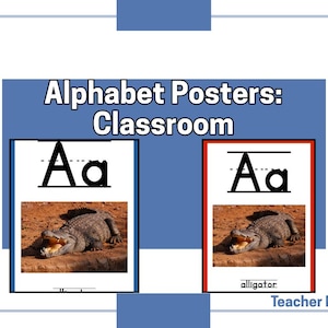 Classroom Alphabet Letters- Bright Rainbow Colors (printable)