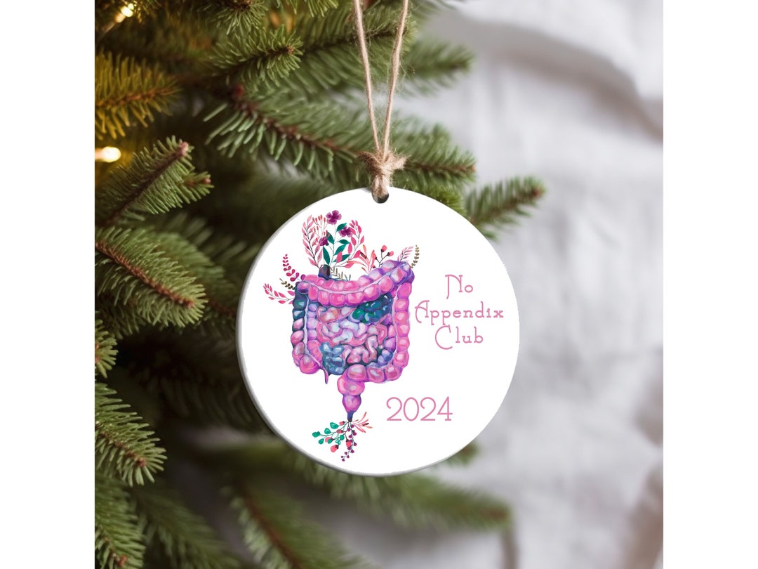 Appendix Ornament Appendix Christmas Ornament Appendix Removal Gift