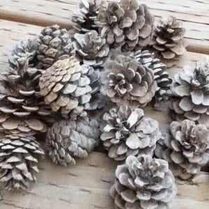 Natural Pinecones for Crafts: Rustic Wedding, Christmas & Fall Decor