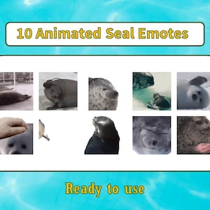 Könnte beinhalten: Eine Collage aus zehn animierten Robben-Emojis. Die Emojis sind in einem Raster aus zwei Reihen und fünf Spalten angeordnet. Jedes Emoji zeigt eine Robbe in einer anderen Pose. Der Titel der Collage lautet "10 animierte Robben-Emojis". Der Text "Bereit zur Verwendung" befindet sich unterhalb der Collage.