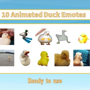 10 Animated Duck Emotes Pack | Twitch Meme Emotes | Discord Emotes | Emotes for streamers and gamers | Emote pack | Duck