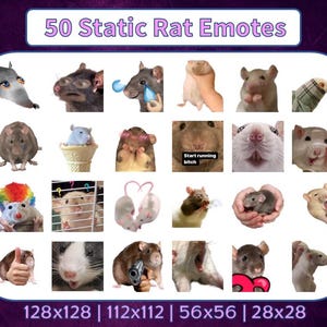 50 Rat Emotes Pack | Mouse | Static | Twitch Emotes | Discord Emotes | Text emotes for streamers and gamers | Emote pack | Funny | Memes
