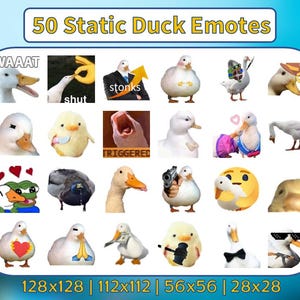 50 個のアヒルの絵文字パック | ガチョウ | 静的 | Twitch 絵文字 | Discord 絵文字 | ストリーマーとゲーマー向けのテキスト絵文字 | 絵文字パック | 面白い | ミーム