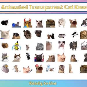 May include: A grid of 80 animated cat emotes, all with transparent backgrounds. The emotes are arranged in 8 rows of 10. The emotes are all different and feature various cat expressions and actions. The text "80 Animated Transparent Cat Emotes" is at the top of the grid, and the text "Ready to Use" is at the bottom.