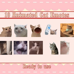10 Popular Animated Cat Emotes Pack | Twitch Meme Emotes | Discord Emotes | Emotes for streamers and gamers | Emote pack | Cats