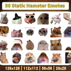 50 Hamster Emotes Pack | Mouse | Static | Twitch Emotes | Discord Emotes | Text emotes for streamers and gamers | Emote pack | Funny | Memes