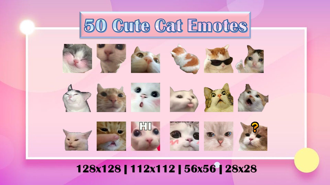 Funny Cat Faces Meme Emote Collection Twitch & Discord 