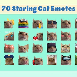 70 Staring Cats Emotes for Twitch and Discord | Twitch Meme Emotes | Discord Funny Emotes | Emotes for streamers and gamers | Emote pack