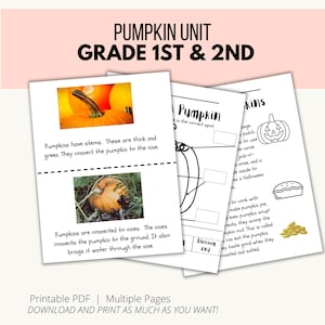 May include: A printable educational worksheet for first and second grade students about pumpkins. The worksheet includes images, text, and activities to teach about the parts of a pumpkin, how it grows, and how it is used. The text includes the words "Pumpkin Unit, Grade 1st & 2nd, Pumpkins have stems, These are thick and green, They connect the pumpkin to the vine, Pumpkins are connected to vines, The vines connects the pumpkin to the ground, It also brings it water through the vine, Pumpkin, in the correct spot, kins, ange, patch, is to use, Ae carve, jack-o-, a nose, and a, de inside to, as a Halloween, to cook with, make pumpkin pie, d even pumpkin soup, reats, they scoop the, mpkin out. This is called, can eat the pumpkin, blessem ey faste good when they, cn, roasted and salted."