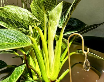 May include: A potted green and white variegated plant with a gold metal plant stake topped with a clear crystal prism.