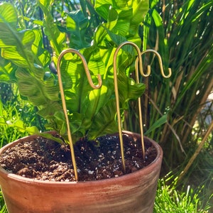 Set of 3 Plant Stakes, 8” Plain Plant Stakes, Choose Your Color Gold or Silver, Plant Markers, Shepherds Hooks, Plant Stakes, Plant Hooks