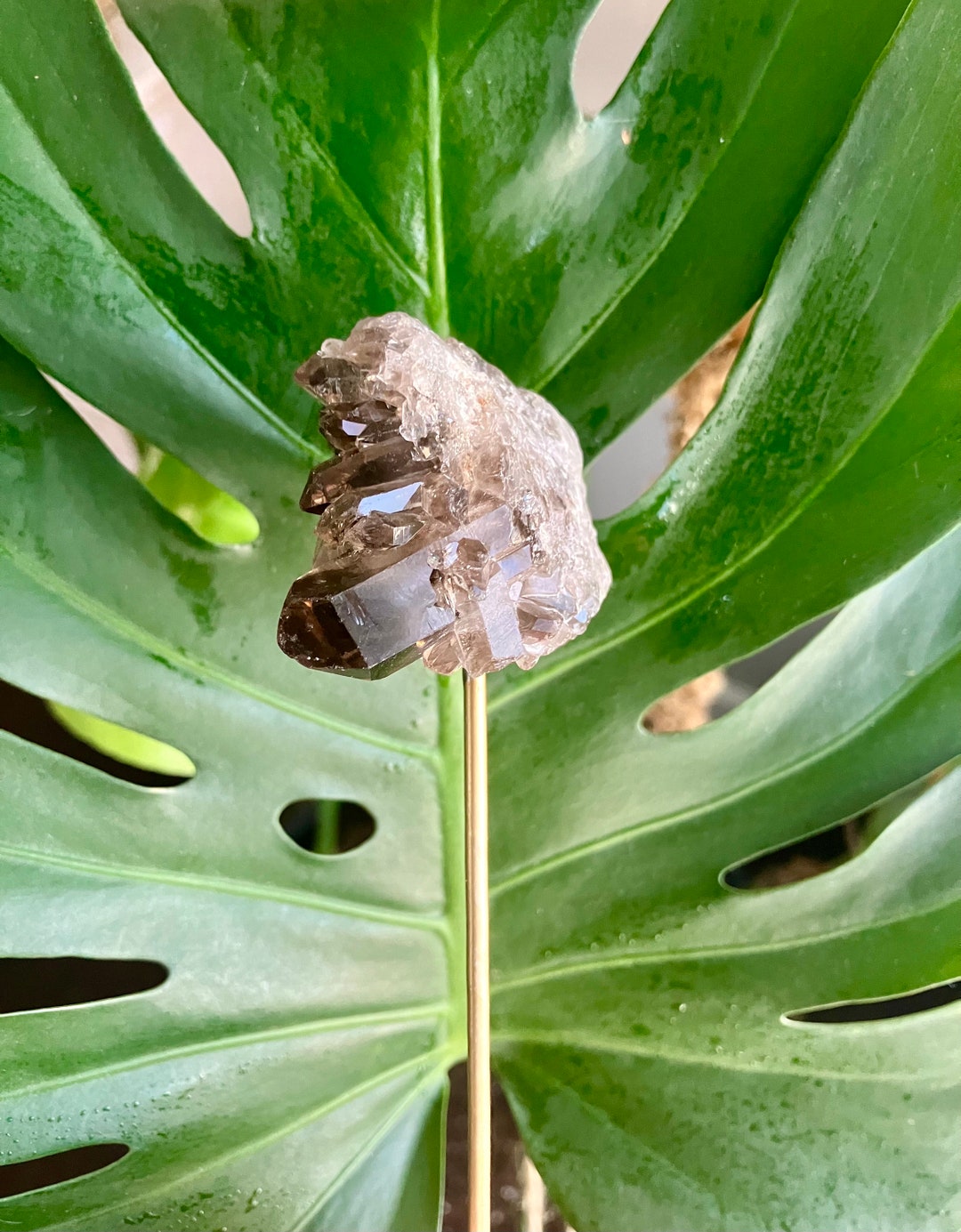 Smoky Quartz Plant Crystal Stake, Plant Accessories, Plant Gift