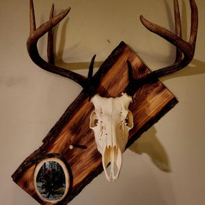 Custom European mount plaque