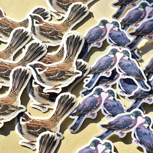 Bird duet - 2 Matte Vinyl Stickers