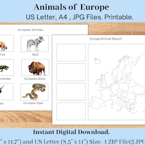 Informe sobre los animales de Europa, geografía imprimible para niños pequeños en edad preescolar, hoja de trabajo de geografía, informe sobre los continentes Montessori, geografía para la educación en el hogar