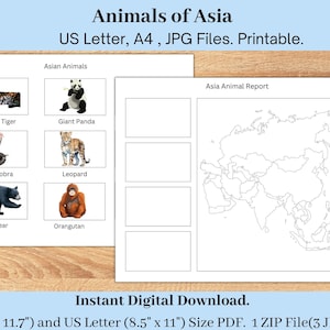 Asia Animal Report, Geography Printable for Toddlers Pre-K, Geography Worksheet, Montessori Continent Report,  Homeschool Geography