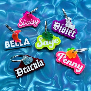 Custom Acrylic Pet Tag: Engraved Name ID with Charm