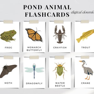 Printable Forest Animal Flashcards, Pond Spring Nature Unit Study, Montessori Preschool Education, Earth Day Homeschool Instant Download