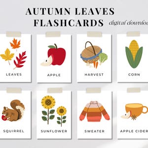 Cartes-éclair d'automne imprimables, étude de l'unité Nature d'automne, vocabulaire d'automne, éducation préscolaire Montessori pour tout-petits École à domicile Téléchargement instantané PDF