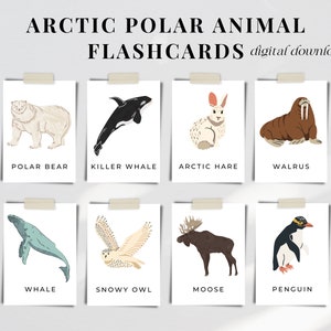 Imprimible Polar Arctic Animal Flashcards Unidad de Naturaleza Estudio Montessori Educación Preescolar Kindergarten Descarga Digital Instantánea Ciencia