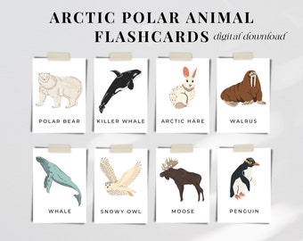 Printable Polar Arctic Animal Flashcards Nature Unit Study Montessori Preschool Education Kindergarten Instant Digital Download Science
