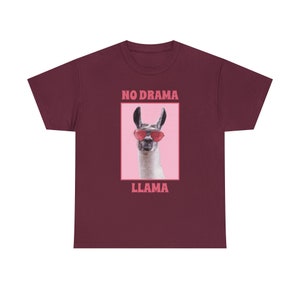 No Drama Llama Tee Embrace Positivity and Playfulness Keep the Llama Vibes Calm image 10