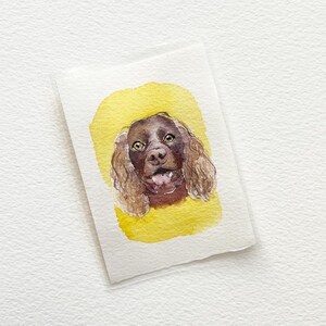Miniatyr 6,5x9,5 cm akvarellporträtt av husdjur: Personlig handmålad present till husdjursälskare bild 9