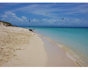 Michaelmas Cay Beach Australia  | Photo Print Wall Art | Digital Download