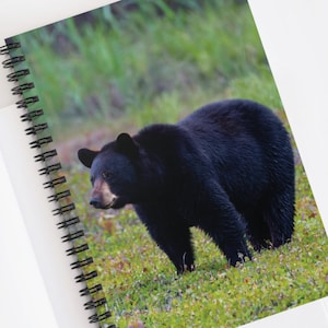 Bear Spiral Notebook Black Bear Journal Wilderness Nature Journal Wildlife Enthusiast Diary Bear Lover Gift Nature Inspired Note Pad