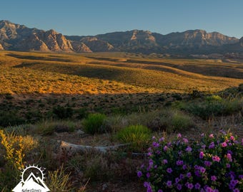Desert Photograph Desert Landscape Living Room Wall Art Nature Inspired Dorm Decor Red Rock Canyon Rustic Cabin Decor Mojave Desert Artwork