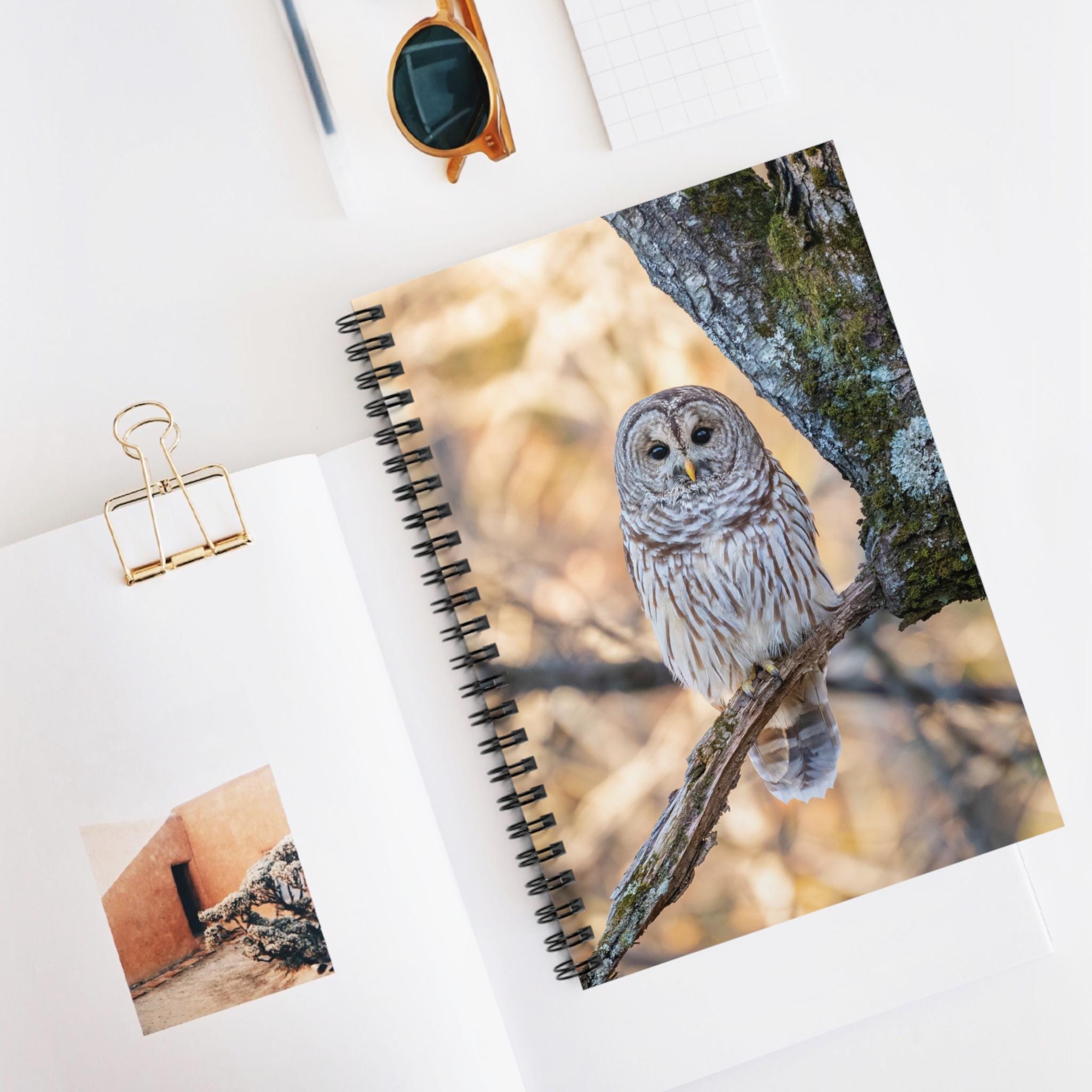 Barred Owl Photograph Spiral Notebook Ruled Lined Journal