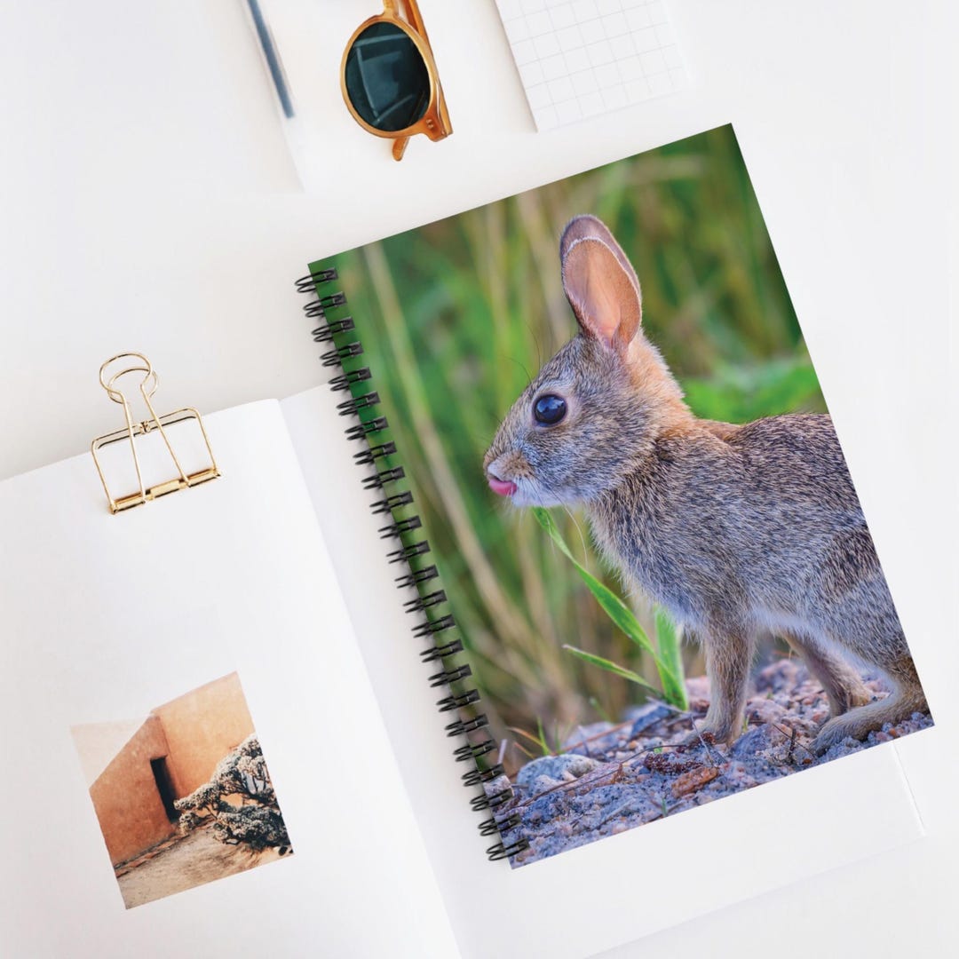 Wild Rabbit Spiral Notebook Cottontail Bunny Lined Journal Wildlife ...
